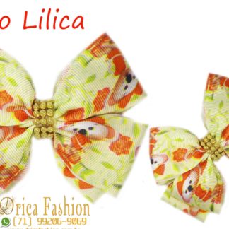 Laços Drica Fashion