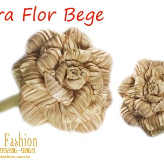 Laços Drica Fashion