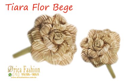Laços Drica Fashion