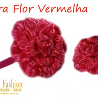 Laços Drica Fashion